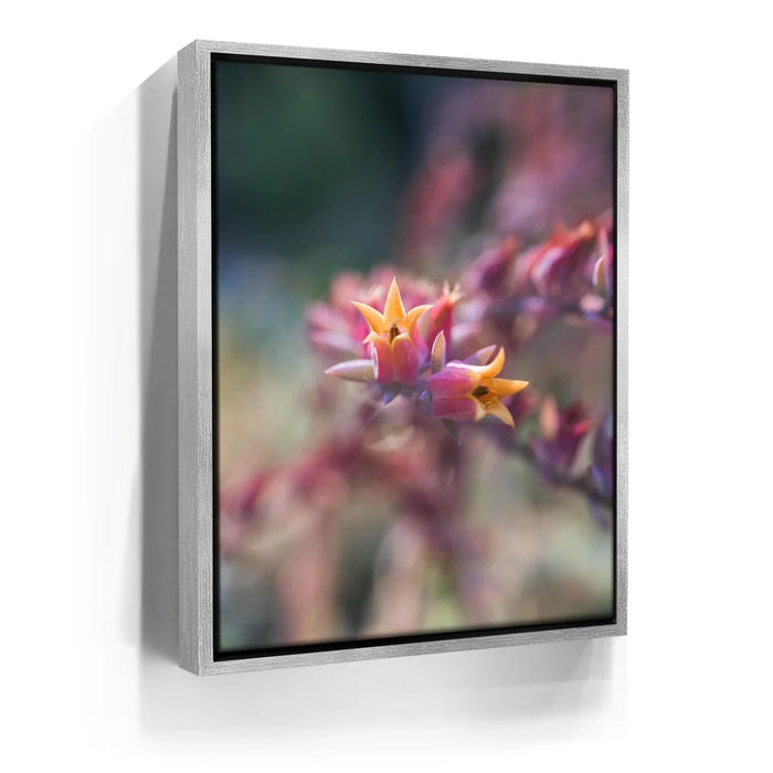 Featured image 8 for Flowerkiss, California