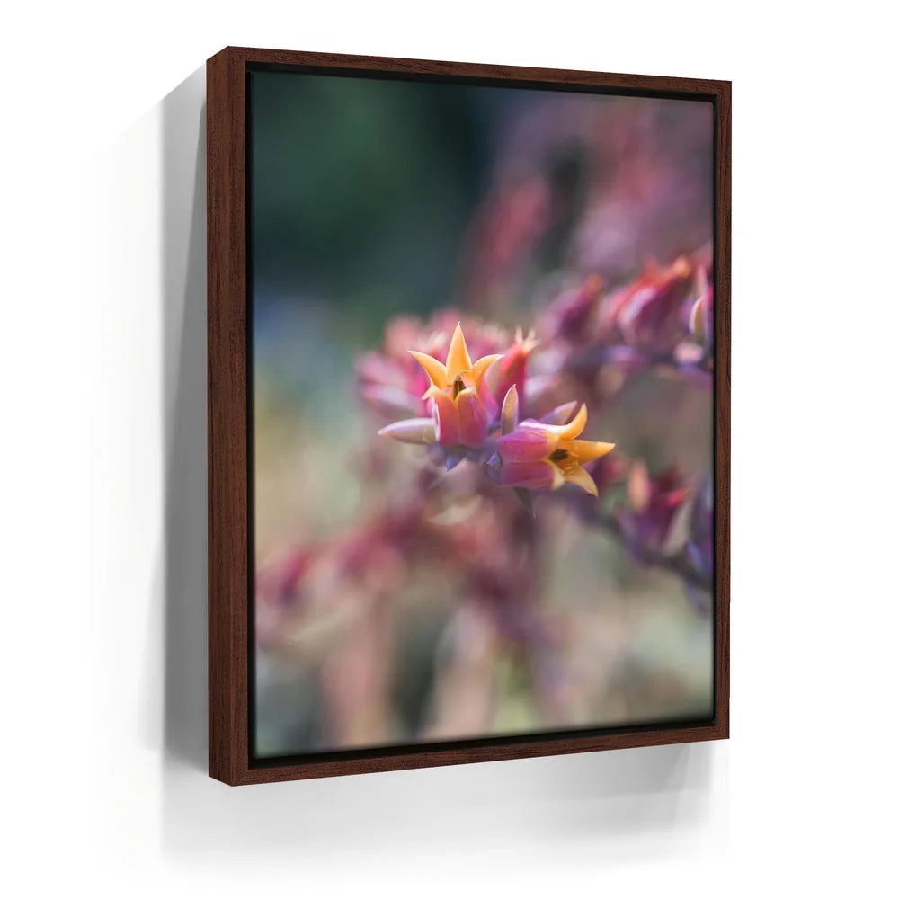 Featured image 10 for Flowerkiss, California