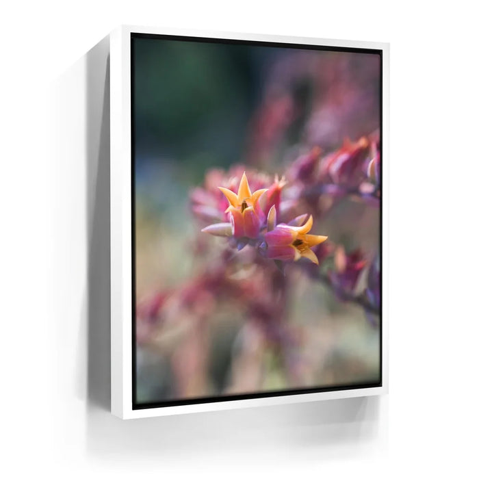 Featured image 6 for Flowerkiss, California