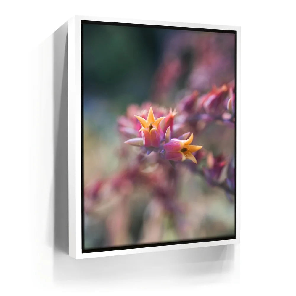 Featured image 6 for Flowerkiss, California