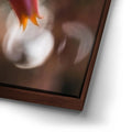 Thumbnail image 14 for Flowerlights, California