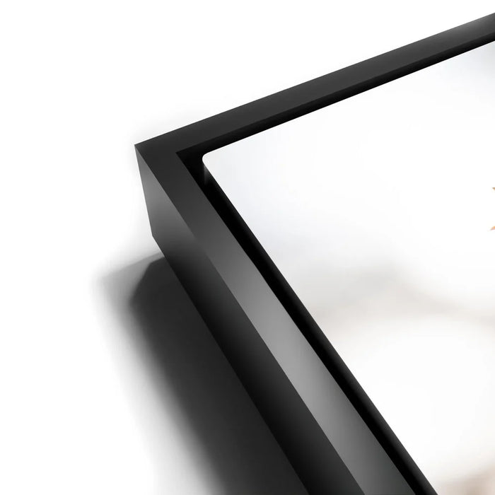 Featured image 11 for Flowerlights, California