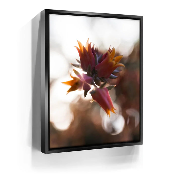 Featured image 5 for Flowerlights, California