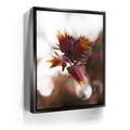 Featured image 5 for Flowerlights, California