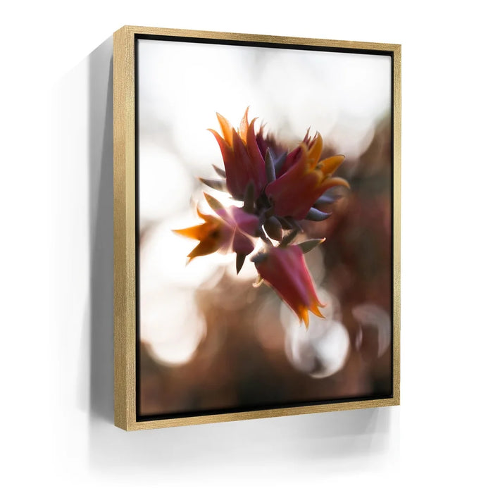 Featured image 7 for Flowerlights, California