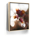 Featured image 9 for Flowerlights, California