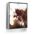 Featured image 8 for Flowerlights, California