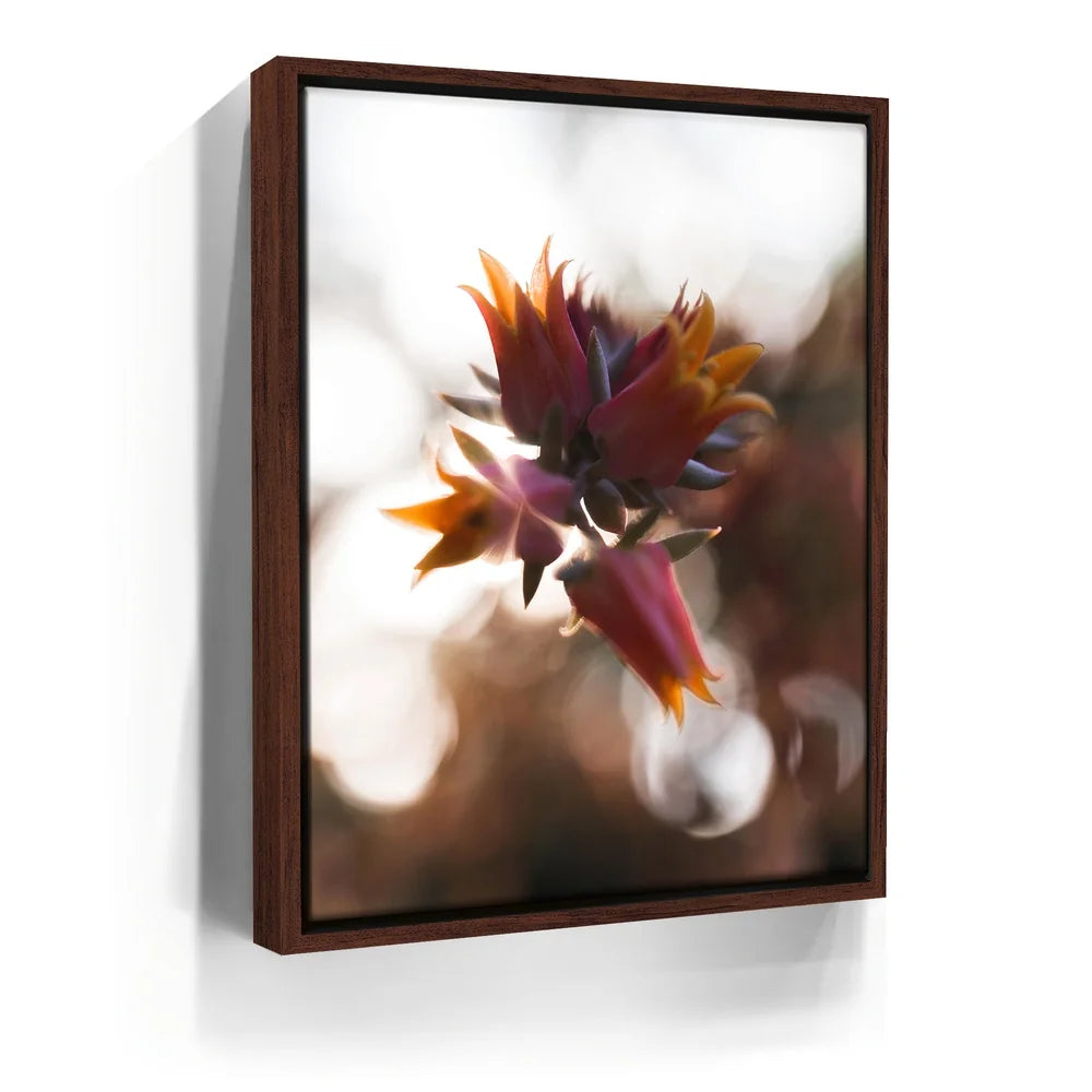 Featured image 10 for Flowerlights, California