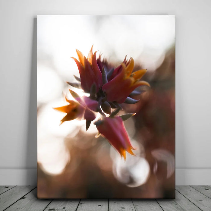 Featured image 1 for Flowerlights, California