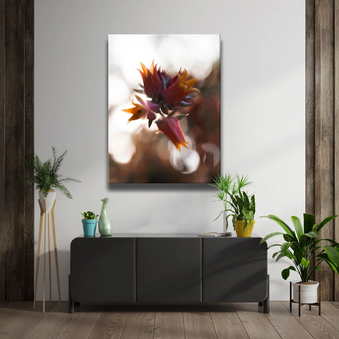 Featured image 2 for Flowerlights, California