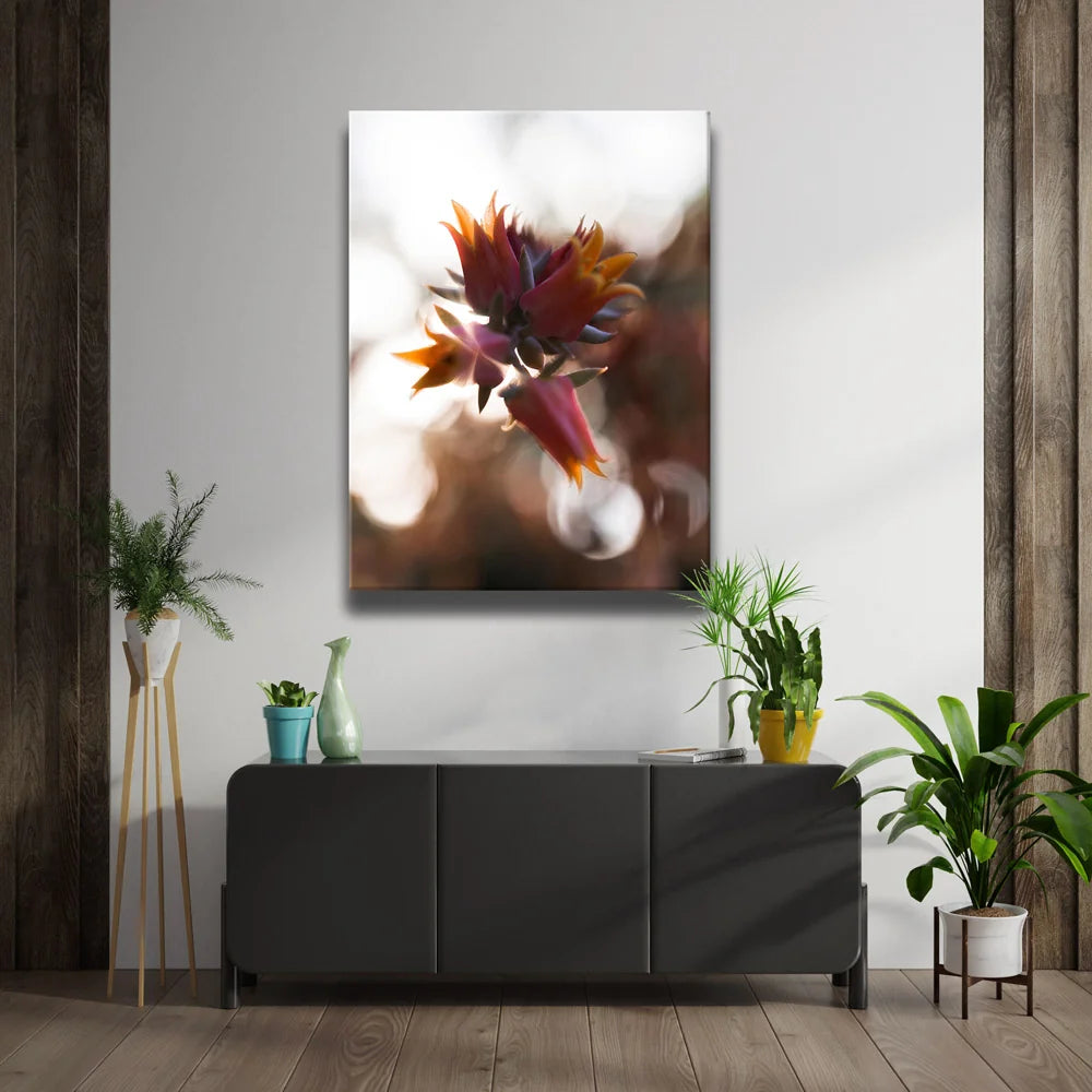 Featured image 2 for Flowerlights, California