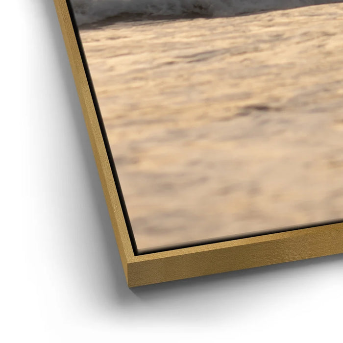 Featured image 12 for Fly Free, California