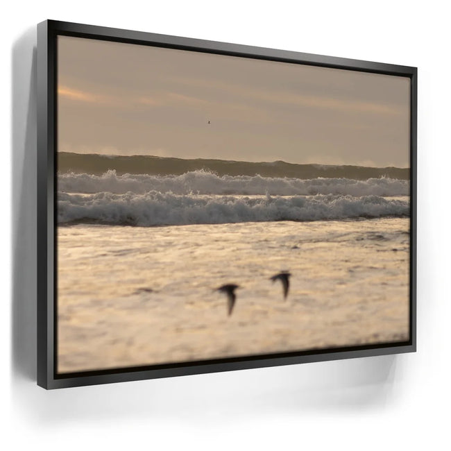 Featured image 5 for Fly Free, California