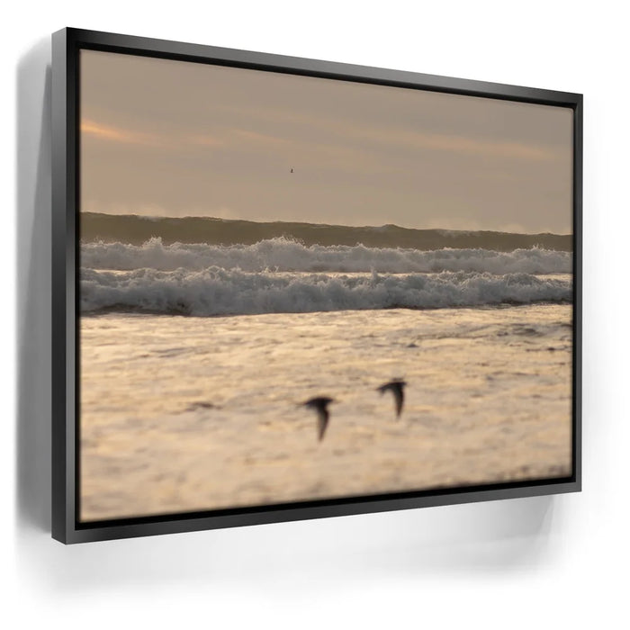 Featured image 5 for Fly Free, California