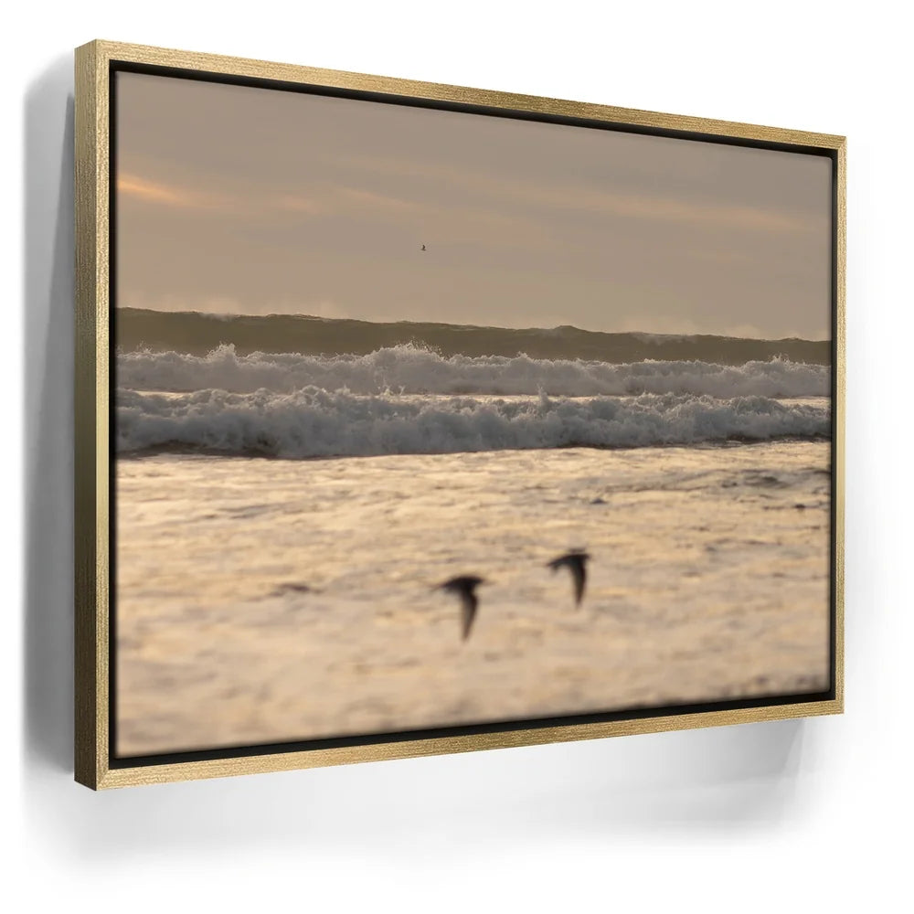 Featured image 7 for Fly Free, California