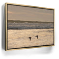 Featured image 7 for Fly Free, California