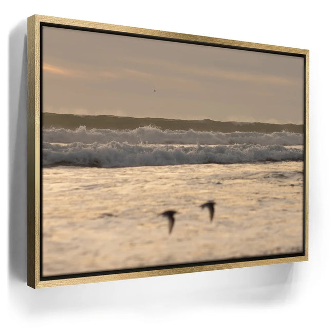 Featured image 7 for Fly Free, California