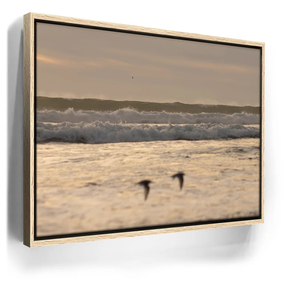 Featured image 9 for Fly Free, California