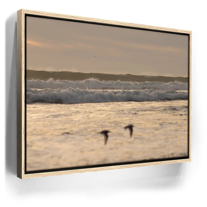 Featured image 9 for Fly Free, California