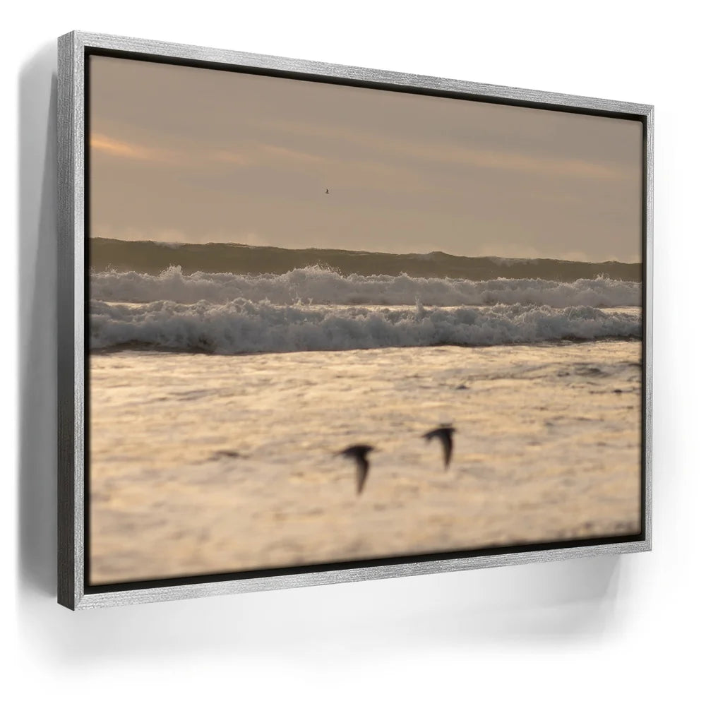 Featured image 8 for Fly Free, California