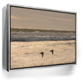 Featured image 8 for Fly Free, California