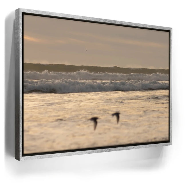 Featured image 8 for Fly Free, California