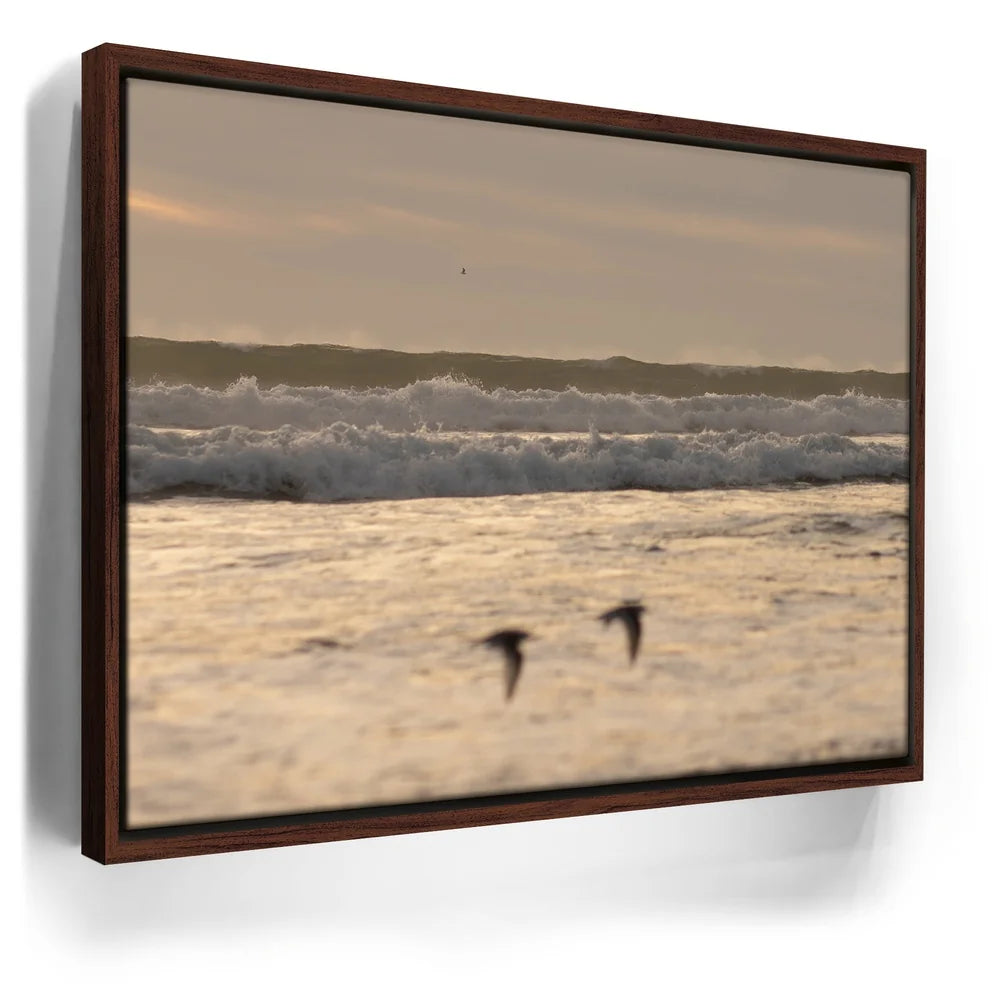Featured image 10 for Fly Free, California