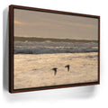 Featured image 10 for Fly Free, California