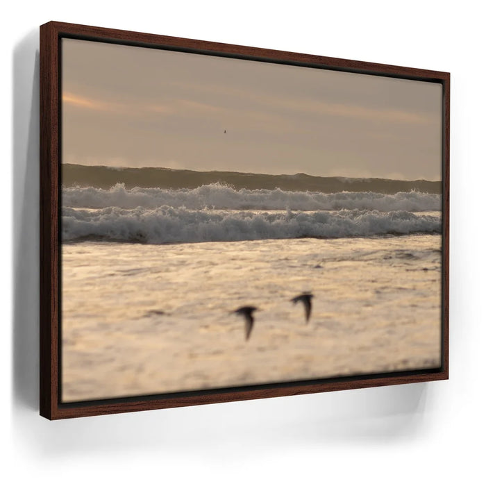 Featured image 10 for Fly Free, California