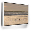 Featured image 6 for Fly Free, California