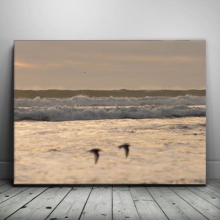 Featured image 1 for Fly Free, California