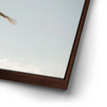 Thumbnail image 15 for Fly High - La Ventana - Mexico