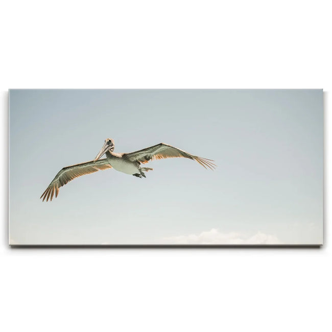 Featured image 1 for Fly High - La Ventana - Mexico