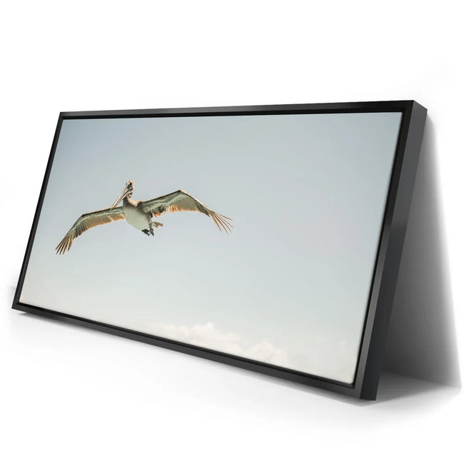 Featured image 2 for Fly High - La Ventana - Mexico