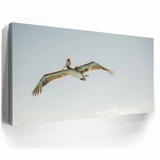 Featured image 3 for Fly High - La Ventana - Mexico
