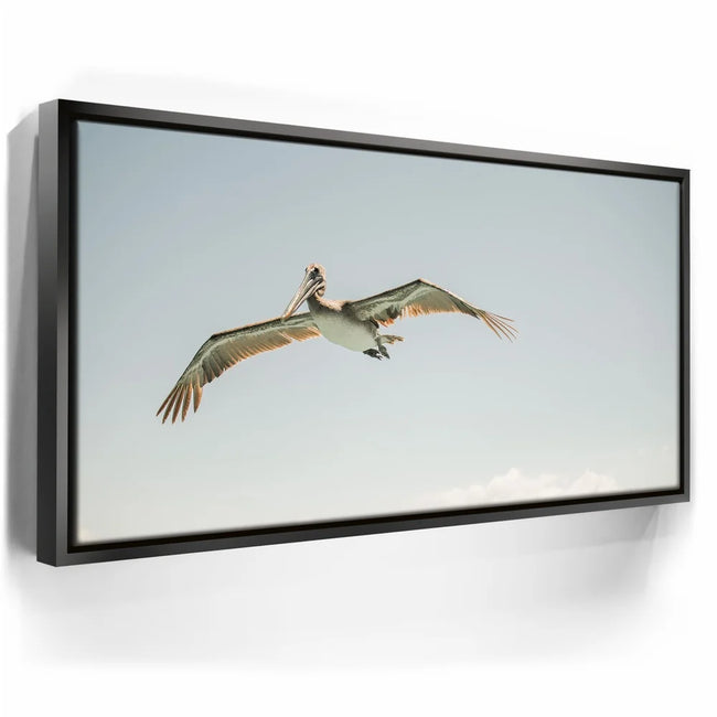 Featured image 6 for Fly High - La Ventana - Mexico