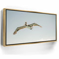 Featured image 8 for Fly High - La Ventana - Mexico