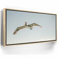 Featured image 10 for Fly High - La Ventana - Mexico