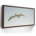 Featured image 11 for Fly High - La Ventana - Mexico