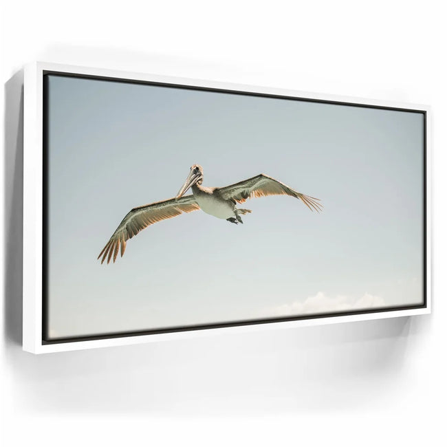 Featured image 7 for Fly High - La Ventana - Mexico