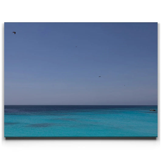 Flying Above The Horizon - Curaçao, Caribbean Posters, Prints, & Visual Artwork TheGoatWallArt LANDSCAPE 24x18 0.75" STANDARD