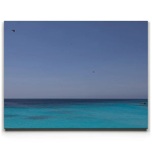 Flying Above The Horizon - Curaçao, Caribbean