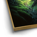 Thumbnail image 12 for Forest I