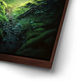 Thumbnail image 14 for Forest I