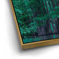 Thumbnail image 12 for Forest Reflection