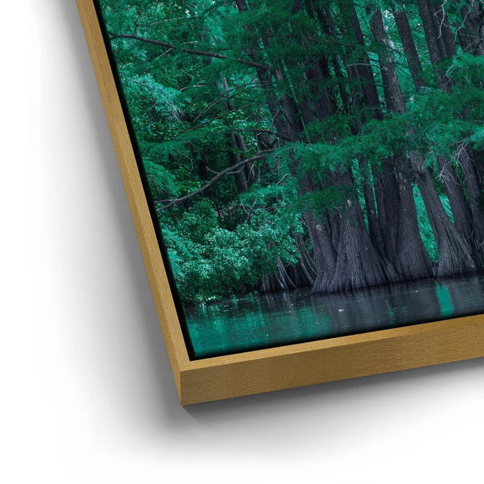 Featured image 12 for Forest Reflection