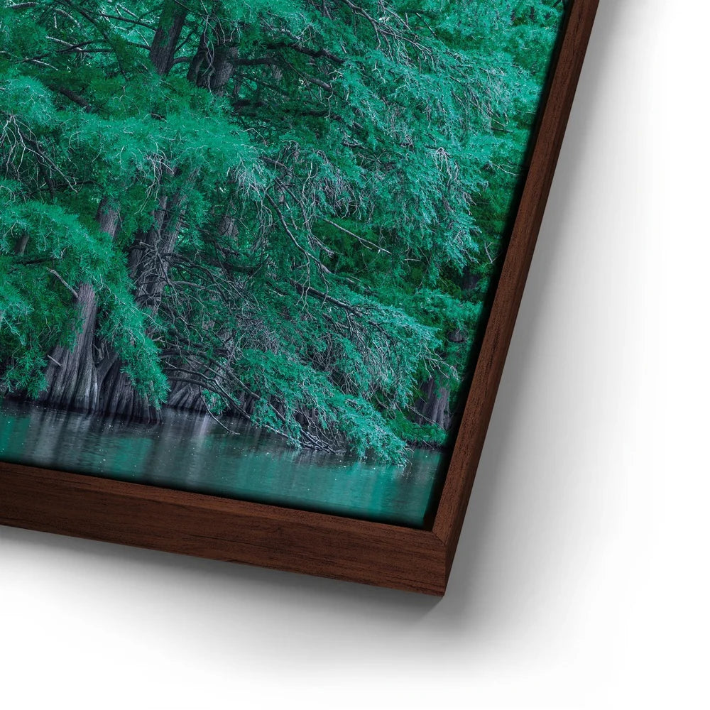 Featured image 14 for Forest Reflection