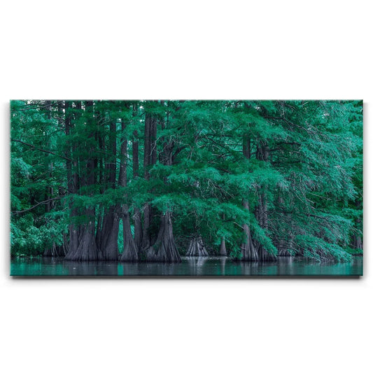 Forest Reflection
