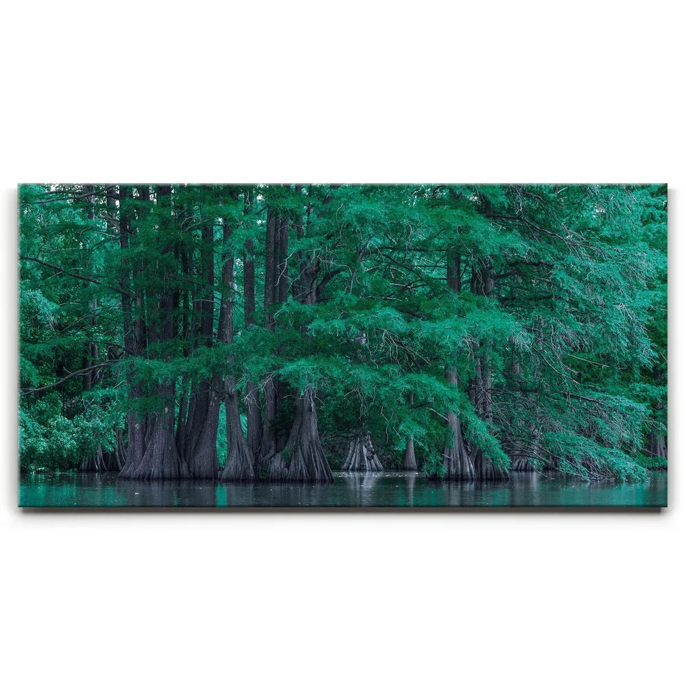 Featured image 1 for Forest Reflection