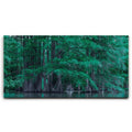 Featured image 1 for Forest Reflection